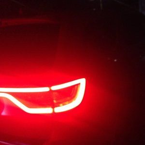 Meet your Posher, Woody